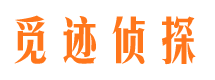 清远外遇出轨调查取证